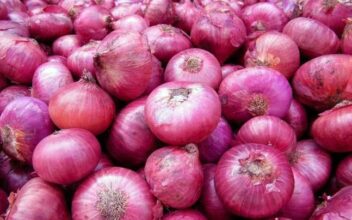 A Bunch Of Red Onions in the Market