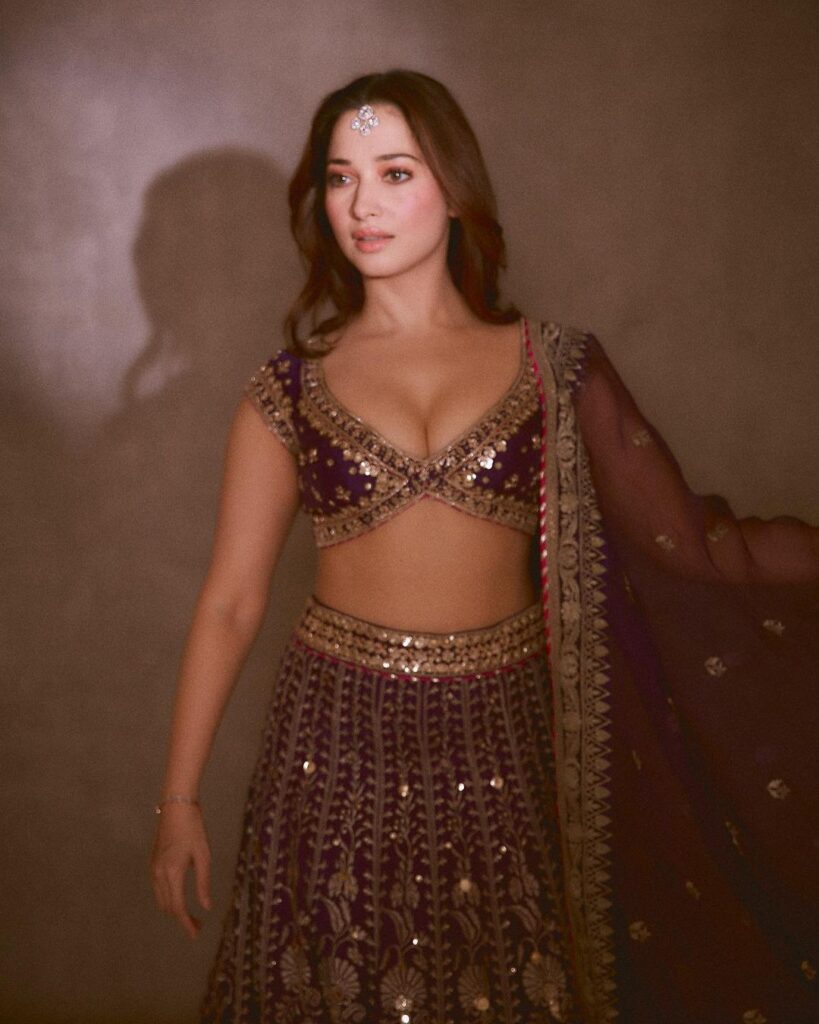 Tamannaah's ethnic charm shines in a traditional photoshoot