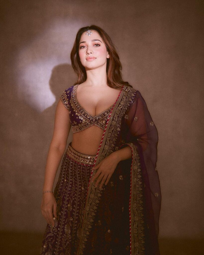Tamannaah's timeless beauty in traditional attire