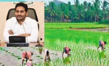 CM Jagan with paddy fields and farmers in AP.