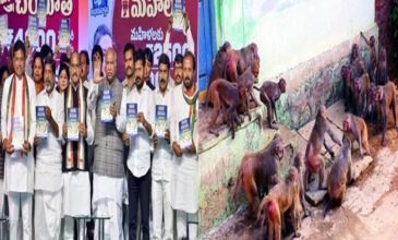 Congress Manifesto release function and a group of monkeys in a village.