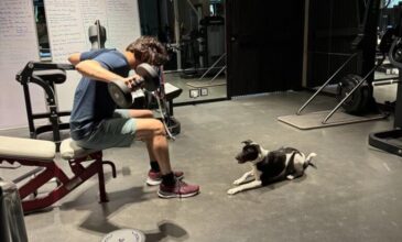 Mahesh Babu pic with dog during his workout.