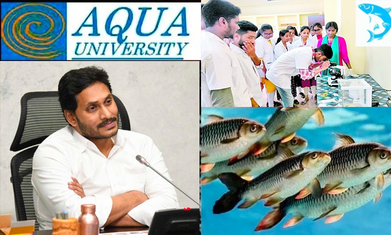 Aqua University in Andhra Pradesh