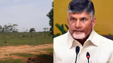 Assigned lands and Chandrababu