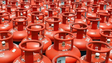 LPG cooking gas cylinders arranged in a matrix.