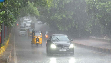 Rain Alert: Heavy Showers Expected in Several Districts of Telangana