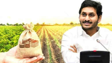CM Jagan and agricultural profit.