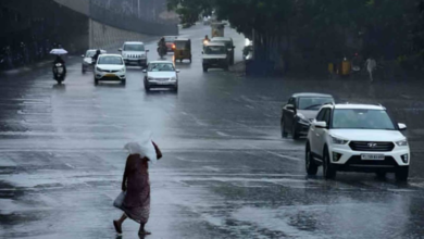 Weather Department Forecasts Cooler Weather for Telugu States